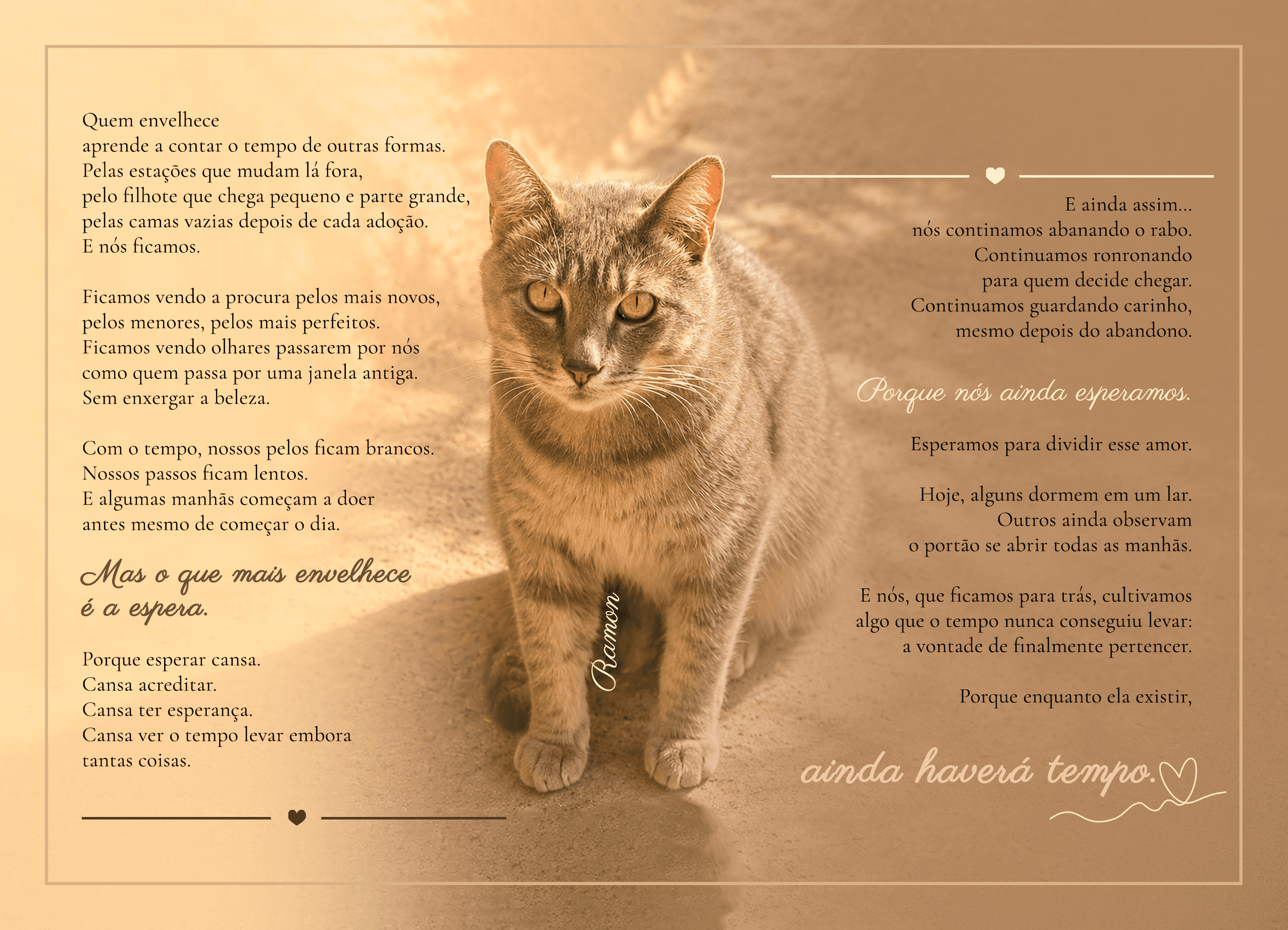 Quase na metade, e os primeiros calendários já estão a caminho! 🐾