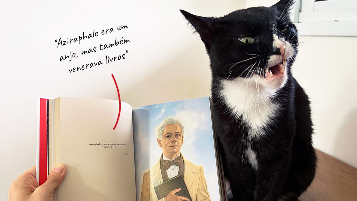 Cluboca do Livro: dois anos de literatura e gatos!