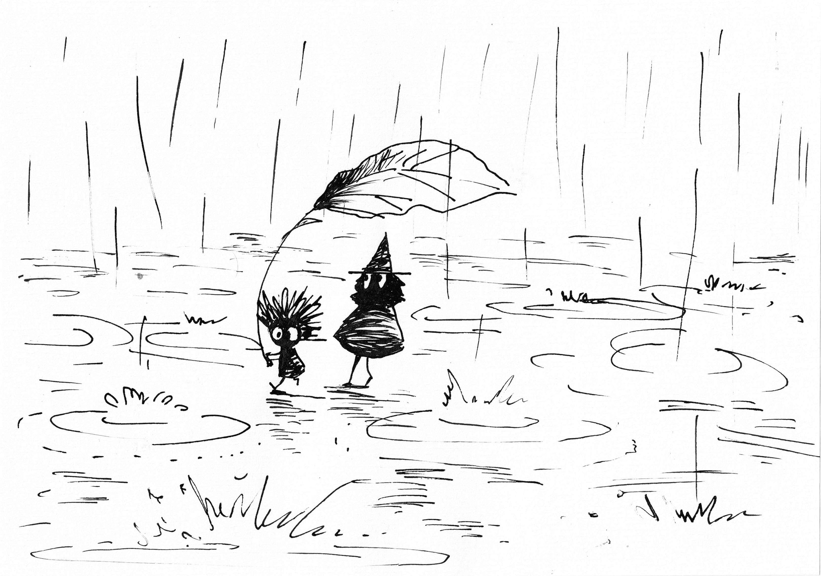 Cover Photo